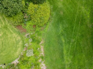 Aerial view of vibrant, lush green gardens