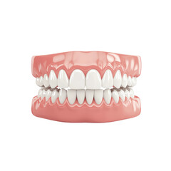 Realistic 3D Model of Human Teeth in Healthy White Condition