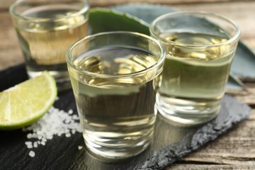 Mexican tequila shots, slice of lime, salt and agave leaves on wooden table, closeup