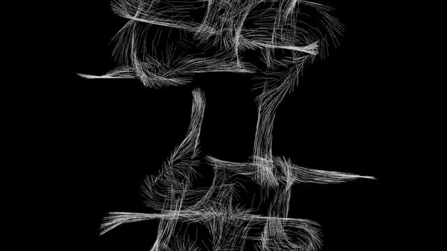 Abstract silver hair strands extending and forming dynamic shapes as the Thomas Attractor fractal is destructively disrupted, set against a dark background.