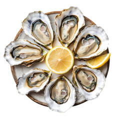 Freshly Shucked Oysters on a Wooden Plate with Lemon Slices