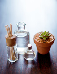 Plant, spa and aromatherapy on table with diffuser, peace and natural fragrance product. Holistic health, hospitality service and counter with essential oil for self care at luxury wellness salon