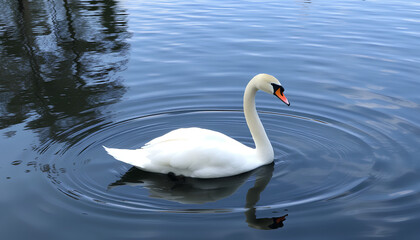 Naklejka premium An elegant swan gracefully gliding across a lake of liquid glass, creating delicate ripples that shimmer like crystal
