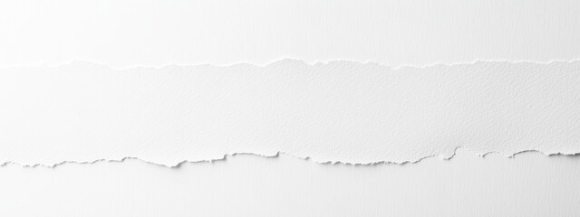 Torn white paper strip, blank space, background texture, design element