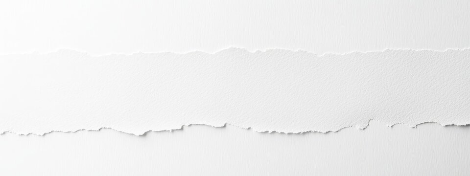 Torn white paper strip, blank space, background texture, design element