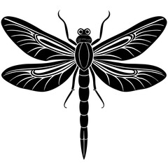 Dragonfly Silhouette vector with white background
