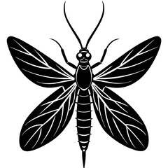Mayfly Silhouette vector with white background