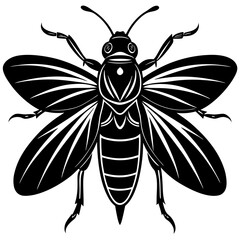 Mayfly Silhouette vector with white background