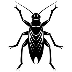 Orthoptera Silhouette vector with white background