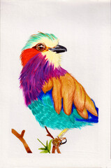 Bird in a stick