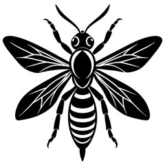 True wasp Silhouette vector with white background