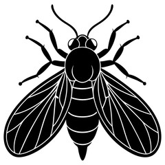 Botfly Silhouette vector with white background
