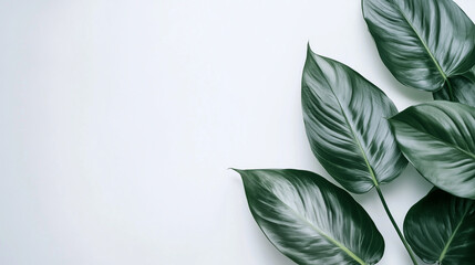 A lively PowerPoint template with tropical leaves arranged asymmetrically around the borders. 