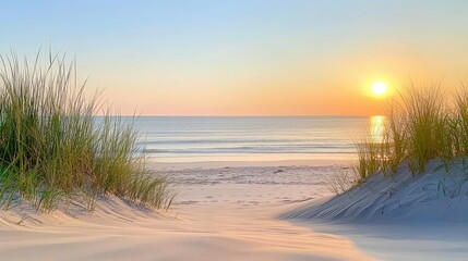 A tranquil beach on Long Island, with dunes and sea grasses under a clear sky