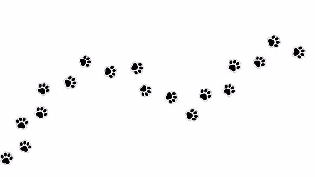 Cartoon Animal Paw Prints Trail | Funny Cat Footprints Animation on Transparent White Background | 4K Video