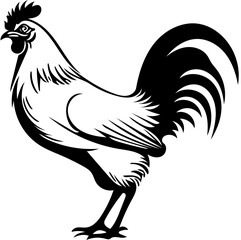 Illustration of a black and white chicken