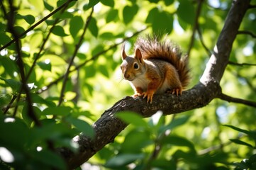Adorable Red Squirrel Perched on Branch in Lush Green Summer Foliage
