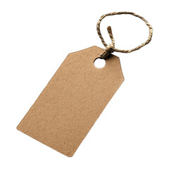 Blank Brown Tag With Keyring Isolated On White Background