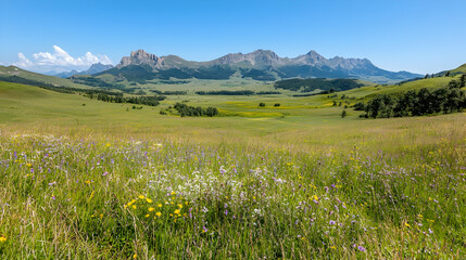 Fototapeta premium Mountain meadow wildflowers summer landscape scenic travel postcard