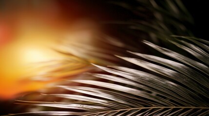 Obraz premium Tropical Palm Leaf Background Sunset Nature Texture