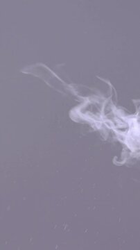 Opening champagne bottle