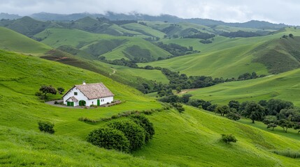 Fototapeta premium White cottage on green hillside, valley view, rural landscape, tranquil scene, nature photography