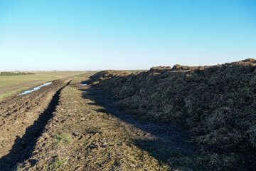 Manure on the field under sunlight, traditional fertilization methods