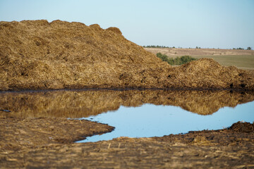 Organic fertilization in the form of manure on farmland