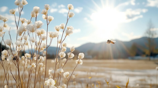 bee hovers near white flowers under bright sun in serene landscape
