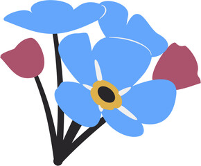 Forget me nots, Myosotis, Scorpion grasses