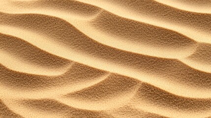 Textured Desert Sand Dunes: A Golden Wave of Nature's Art