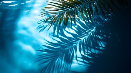Fototapeta premium Elegant Palm Leaf Shadow on Tranquil Blue Water Surface