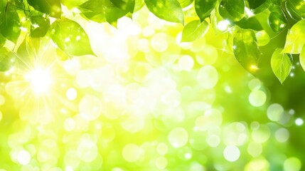 Fototapeta premium Vibrant green leaves frame a sunlit bokeh background, creating a bright and cheerful springtime scene. Soft light filters through the foliage