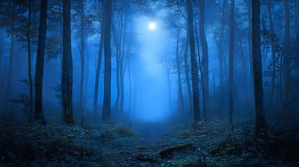Fototapeta premium Enchanted Forest: An ethereal and enigmatic scene of a moonlit forest, shrouded in a mystical fog that blankets the trees.