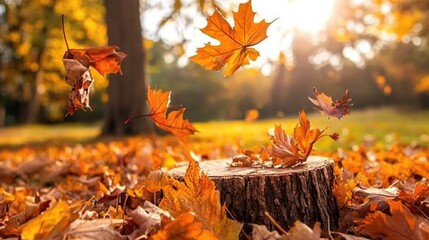 Autumn leaves falling on tree stump in park
