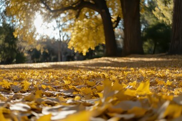 A close-up of golden autumn leaves basking in the sun, with soft-focus trees in the background.