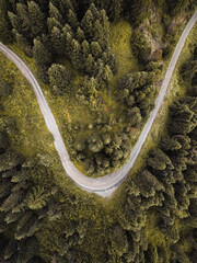 Drone view of a winding road cutting through dense, vibrant green woods, providing a pristine nature landscape embodying tranquility, adventure, and the serenity of untouched wilderness.