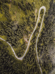 Meandering mountain road surrounded by lush green forest, captured from above for a breathtaking perspective of nature's beauty. Perfect for travel, adventure, and scenic drive concepts.