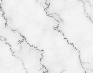 Obraz premium Seamless marble pattern resembling Arctic fox fur, featuring a soft white-to-gray gradient with delicate wispy veins