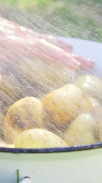 Close-up of woman hands washing potatoes in garden