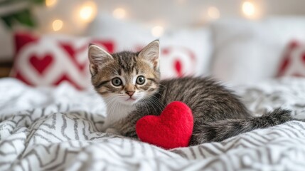 Cute kitten lies next to a fabric heart. Concept for veterinarians, Valentine's Day, pet store