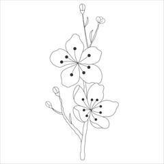 Hand drawn cherry blossom spring flowers branch isolated on white