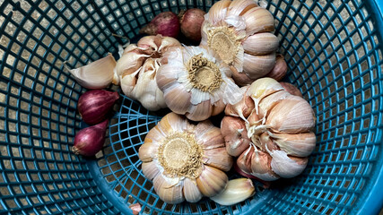 Close up on garlic and shallots in a plastic container