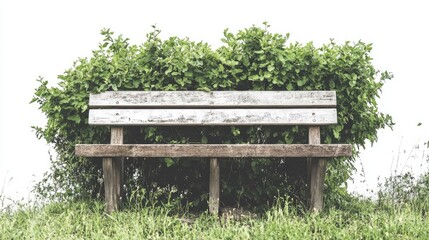 Fototapeta premium A charming wooden bench in a park, with nature-inspired design elements, set against a white background, highlighting its simple elegance