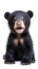 Obraz premium Cute Black Bear Cub Smiling with Playful Expression on White Background