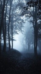Fototapeta premium Misty Forest Pathway Surrounded by Tall Trees and Foggy Atmosphere