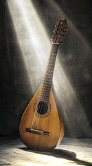 Elegant Wooden Lute Illuminated by Soft Light in Studio Setting