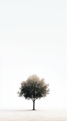 Fototapeta premium Solitary Tree in Minimalist Landscape Under Bright White Sky