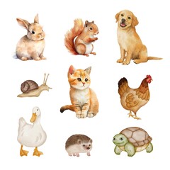 Watercolor of animals set on white background. Watercolor of rabbit, squirrel, dog, snail, cat, hen, duck, turtle, and hedgehog isolated. Sketch of pets © Wiwi
