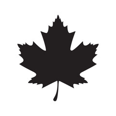 maple leaf Silhouette Design